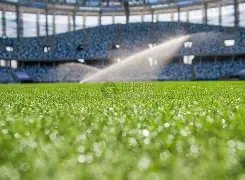 意大利闖進,歐洲盃,斯帕萊蒂帶,PG麻将胡了app,麻将胡了在线试玩,麻将胡了,麻将胡了官方网站