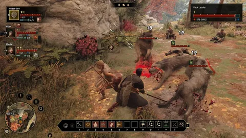 卡利美洲主场对决，拉尼洛斯大乐透期号专家质合推荐分析